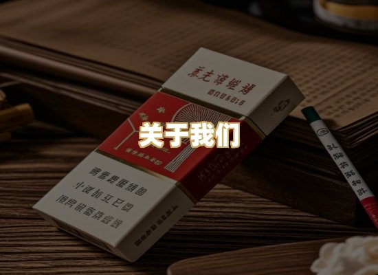 关于我们